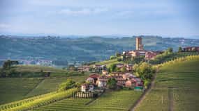Torino: escursione privata nella regione del vino Barolo con pranzo