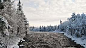 Rovaniemi: Vaattunki Caminhada no trilho do Círculo Polar Ártico