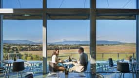 From Melbourne: Yarra Valley Wildlife & Wine Day Tour