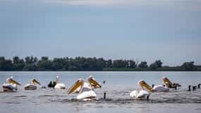 Danube Delta - 2-Day Tour from Bucharest