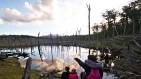 Ushuaia: Visita a los lagos Escondido y Fagnano PM