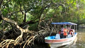 Desde Veracruz: Tour en barco por la naturaleza y el marisco a Madinga