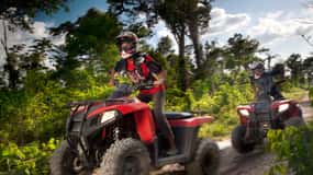 Selvatica Park : Tyroliennes, quad, baignade dans un cénote et tour à l'élastique