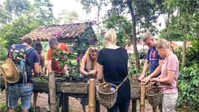 Coffee Farm Tour at Finca El Ocaso from Salento