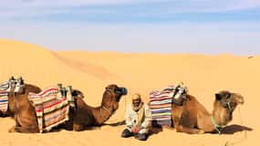 Z Dżerby: Całodniowa wycieczka Ksar Ghilane, Sahara i Oaza