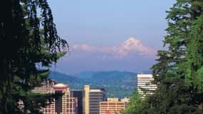 Portland: Best of the City Sights Small-Group Morning Tour