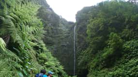 Madeira Island: Caldeirão Verde Levada Walk