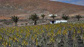 Visite de la Grande Canarie : Passé et présent