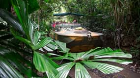 Kuranda: Rainforestation Nature Park