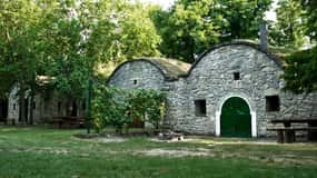 From Budpaest: Páty Wine Village Tour with Tastings