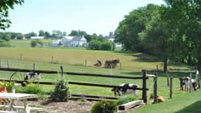 Lancaster: Amish Experience Visit-in-Person Tour of 3 Farms
