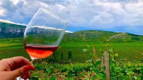 From Skopje: Private Tour of Sopot Winery with Lunch