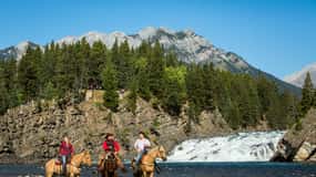 Banff: 4-Hour Sulphur Mountain Intermediate Horseback Ride