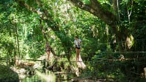 Ponts d'Eden : promenade de 2 heures dans la forêt tropicale, baignade et tyrolienne