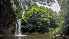 Azores: Ribeira da Salga Canyoning Adventure