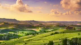 Turin: Langhe Wine Tour with Private Transfers and Lunch