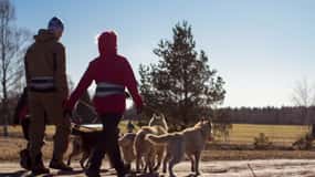 Ab Tallinn: Husky Park Tour mit Cani-Cross-Wanderung