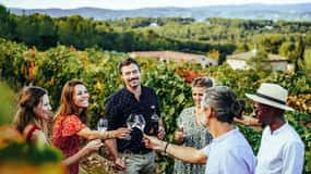 Da Nizza: Tour di un giorno dedicato al vino della Provenza
