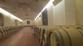 Excursão ao Centro de Vino Concha y Toro