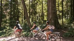 Vancouver: Half-Day City Highlights E-Bike Tour Age 16+