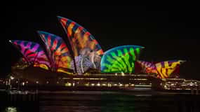 Vivid Festival of Light Sydney Harbour Cruise with Dinner