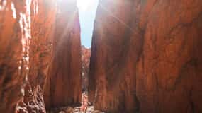 Da Alice Springs: Escursione di mezza giornata nei MacDonnell Ranges occidentali