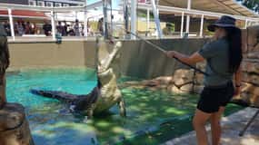Billet d'entrée générale pour Crocosaurus Cove