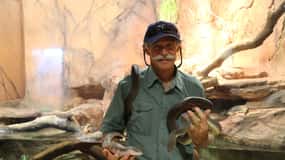 Darwin : Bus Hop-On Hop-Off, Crocosaurus Cove et entrée RFDS
