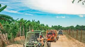 Punta Cana: Saona Island and Buggy Combo