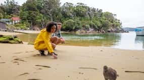 Ilha Stewart: Explora a ilha de Ulva