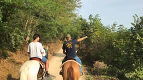 Verona: Passeio a cavalo e experiência de degustação de vinhos