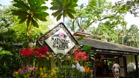 Cingapura: Ingressos para o National Orchid Garden