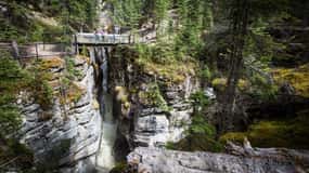 Jasper: Sightseeing Tour with Maligne Lake Cruise