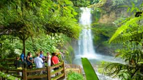 San Jose: Sarapiqui River & La Paz Gardens Tour med lunch