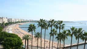 Vanuit Nice: Privétour van een halve dag naar Cannes en Antibes