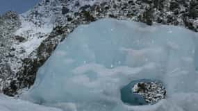 Greymouth: Visita guiada ao Glaciar, Património e Centro de Vida Selvagem