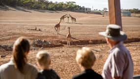 Parque Safari Monarto: Tickets de entrada general