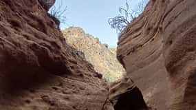 Maspalomas: Barranco de las Vacas, Caves, Farmhouse Tour