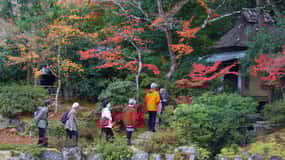 Kyoto to Nara: Private Day Trip with a Local