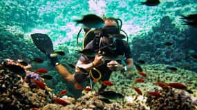 Von Sharm oder Dahab aus: Blue Hole & Canyon Sea Taucherlebnis