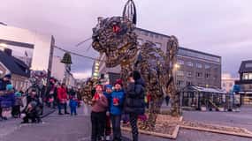 Reykjavik: Kerstwandeltour met IJslandse tradities