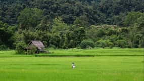 Luang Prabang: Countryside Mountain Bike Tour with Lunch