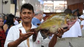 Belém: Half-Day City Tour with Ver-o-Peso Market Visit