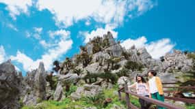 Okinawa: Full-Day Bus Tour to Yanbaru National Park