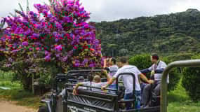 From Rio: Brejal Countryside Farm and Nature Day Trip