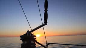 Adelaide: Glenelg Twilight Catamaran Cruise with Drink