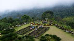 From Rio: Vale do Amor Sanctuary and Waterfall Tour
