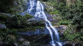 Rio de Janeiro: Tijuca erdő vezetett túra