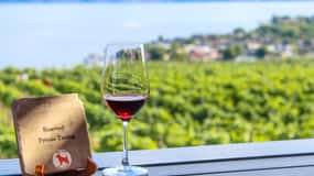 West Kelowna: Afternoon Sightseeing and Wine Tour