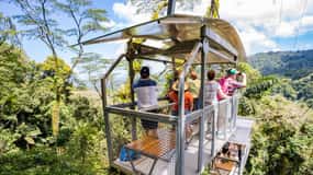 Puerto Limon: Veragua Rainforest & Tortuguero Canal Cruise